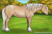 Horse Color:Silver Brown Pearl 