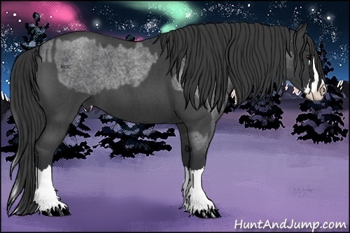 Horse Color:Blue Roan Sabino Splash and Blue Roan Sabino Splash