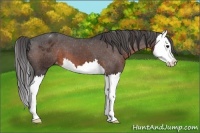 Horse Color:Brown Splash Varnish 