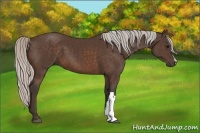 Horse Color:Silver Brown 