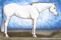 Horse Color:White Spotted Liver Chestnut Snowcap