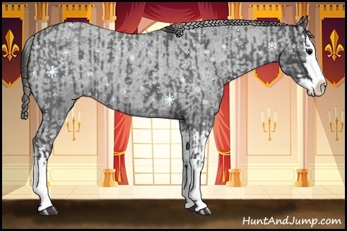 Horse Color:Blue Roan Sabino Splash  and Blue Roan Sabino Splash Varnish 