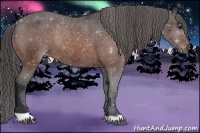 Horse Color:Brown Appaloosa Rabicano