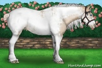 Horse Color:Chocolate Palomino Pearl Tobiano Frame  and Chocolate Palomino Pearl Tobiano Frame Rabicano 