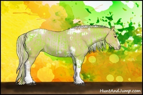 Horse Color:Watercolor White Spotted Liver Chestnut Tobiano and Watercolor White Spotted Chocolate Palomino Pearl Splash Tobiano Frame