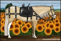 Horse Color:Silver Grullo Pearl Sabino