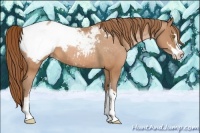 Horse Color:Brown Snowdrop Pearl Sabino Snowcap