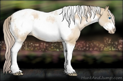 Horse Color:Chocolate Palomino Pearl Dun Tobiano Frame  and Chocolate Palomino Pearl Dun Tobiano Frame 