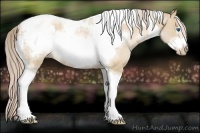 Horse Color:Chocolate Palomino Pearl Dun Tobiano Frame  and Chocolate Palomino Pearl Dun Tobiano Frame 