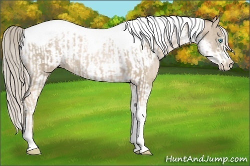 Horse Color:Chocolate Palomino Pearl Tobiano Frame and Chocolate Palomino Pearl Tobiano Frame