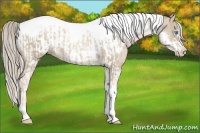 Horse Color:Chocolate Palomino Pearl Tobiano Frame and Chocolate Palomino Pearl Tobiano Frame