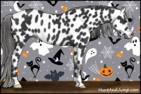 Horse Color:Black Appaloosa Rabicano