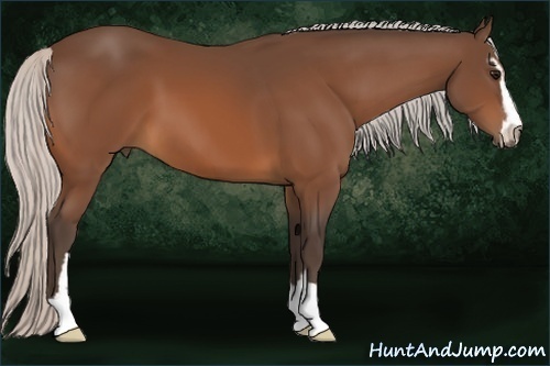 Horse Color:Silver Bay Sabino 