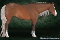 Horse Color:Silver Bay Sabino