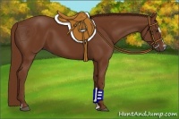 Horse Color:Chestnut Sabino 