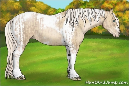 Horse Color:Chocolate Palomino Pearl Tobiano Frame and Palomino Pearl Tobiano Frame