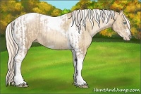 Horse Color:Chocolate Palomino Pearl Tobiano Frame and Palomino Pearl Tobiano Frame
