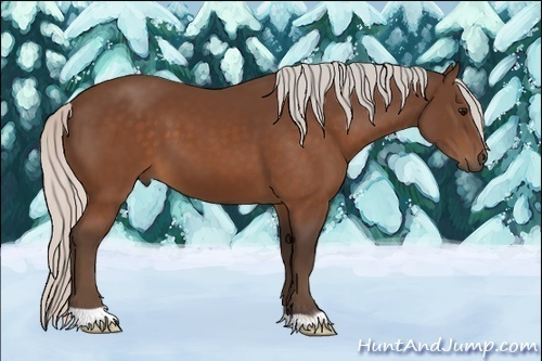 Horse Color:Silver Brown 