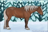 Horse Color:Silver Brown