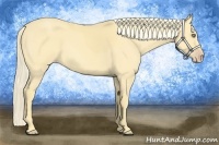 Horse Color:Gold Cream Champagne 