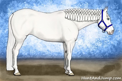 Horse Color:Cremello Sabino 