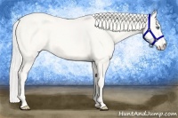 Horse Color:Cremello Sabino 