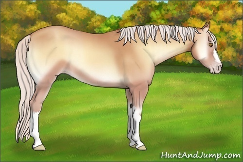 Horse Color:Silver Sable Champagne Onyx