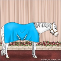 Horse Color:Silver Smoky Grullo Sabino Splash Tobiano Appaloosa 