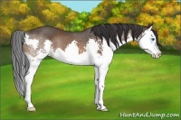 Horse Color:Brown Splash