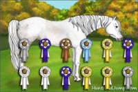 Horse Color:Gray Bay Splash Varnish 