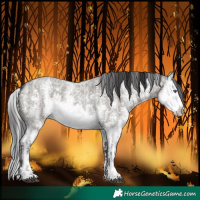 Horse Color:Silver Smoky Grullo Chinchilla Roan Sabino  and Smoky Grullo Roan Sabino Splash 