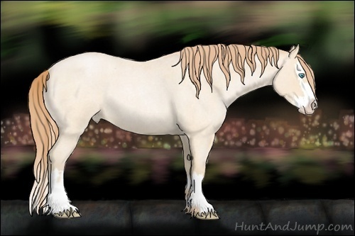 Horse Color:Buckskin Roan Pearl and Buckskin Roan Pearl Splash