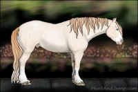 Horse Color:Buckskin Roan Pearl  and Buckskin Roan Pearl Splash 