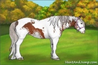 Horse Color:White Spotted Silver Brown Tobiano