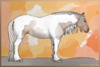 Horse Color:Silver Brown Tobiano 