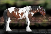 Horse Color:White Spotted Brown Tobiano Rabicano