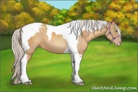 Horse Color:Silver Sable Champagne Tobiano