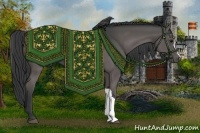 Horse Color:Grullo