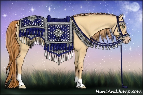 Horse Color:Gold Champagne Dun 