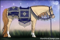 Horse Color:Gold Champagne Dun