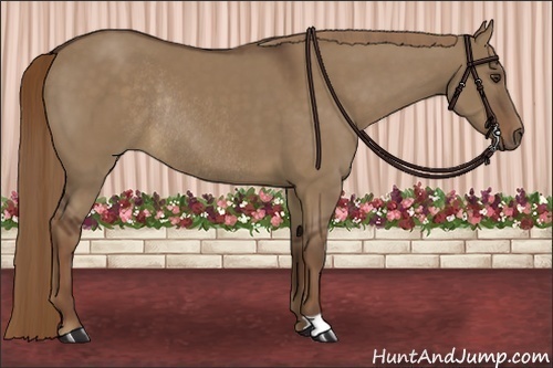 Horse Color:Liver Red Dun Rabicano