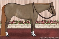 Horse Color:Liver Red Dun Rabicano 