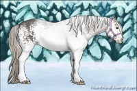 Horse Color:White Spotted Silver Black 
