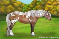 Horse Color:White Spotted Silver Brown Sabino