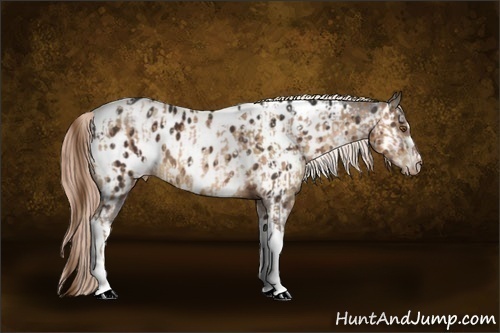 Horse Color:Brown Pearl Splash Tobiano Appaloosa  and White Spotted Liver Chestnut Appaloosa 
