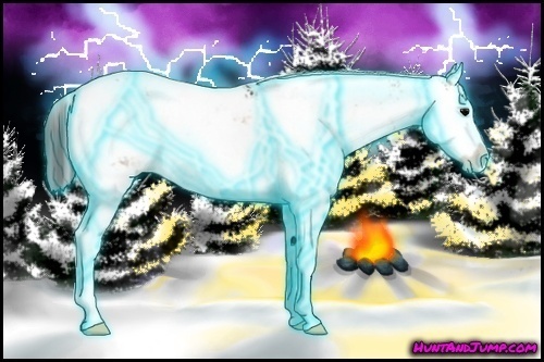 Horse Color:Thunderstruck Bay Onyx Sabino 