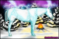 Horse Color:Thunderstruck Bay Onyx Sabino 