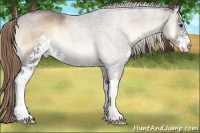 Horse Color:Liver Red Onyx Roan Sabino