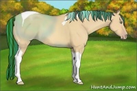 Horse Color:Painted Amber Champagne Dun Tobiano 