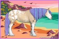 Horse Color:Painted Gold Cream Champagne Splash Appaloosa 